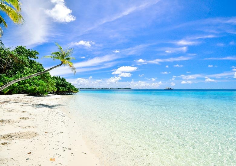Goa